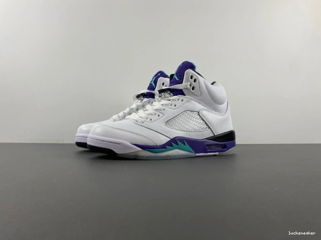 Rep LUCY (2013) Grape 5 Jordan Retro 136027-108 Air 0629